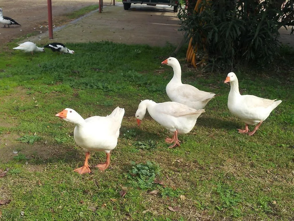 Santa Igia - Country House Elmas