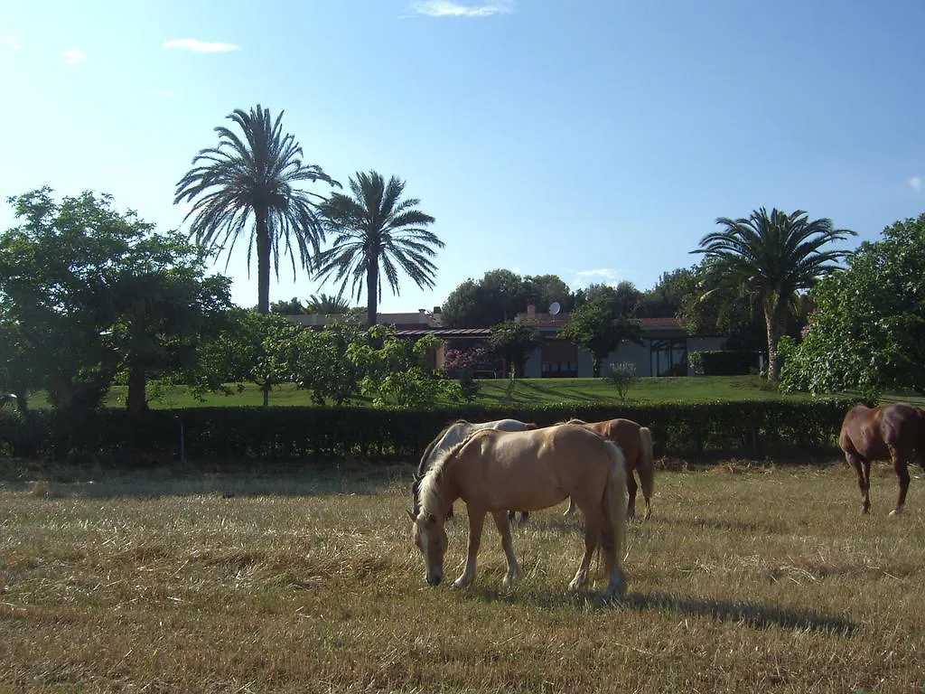 Santa Igia - Country House Elmas Itália