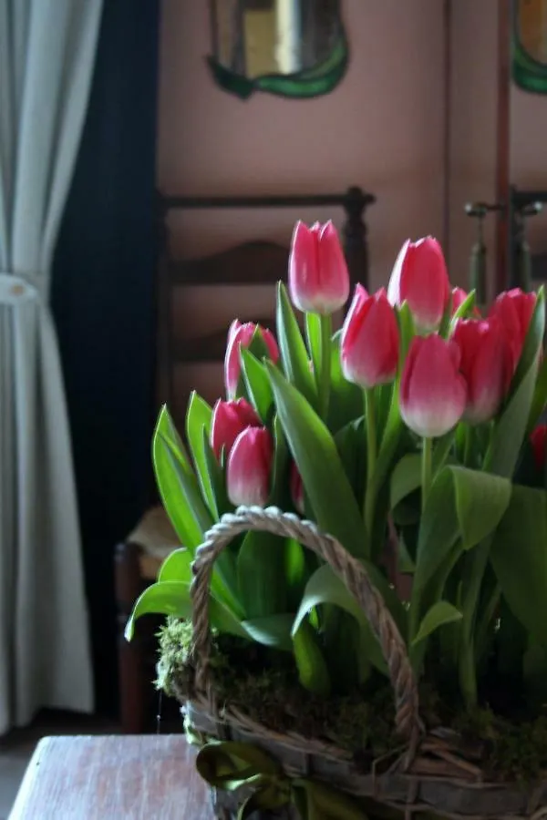 Santa Igia - Country House Elmas